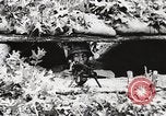 Standbild Rifle Squad Mitglieder United States USA, 1965, aus Sekunde 33 historischem Filmmaterial Videoclip 65675022240