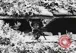 Standbild Rifle Squad Mitglieder United States USA, 1965, aus Sekunde 34 historischem Filmmaterial Videoclip 65675022240