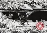 Standbild Rifle Squad Mitglieder United States USA, 1965, aus Sekunde 35 historischem Filmmaterial Videoclip 65675022240