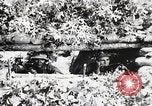 Standbild Rifle Squad Mitglieder United States USA, 1965, aus Sekunde 46 historischem Filmmaterial Videoclip 65675022240