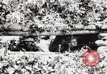 Standbild Rifle Squad Mitglieder United States USA, 1965, aus Sekunde 48 historischem Filmmaterial Videoclip 65675022240