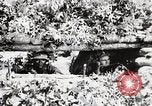Standbild Rifle Squad Mitglieder United States USA, 1965, aus Sekunde 49 historischem Filmmaterial Videoclip 65675022240