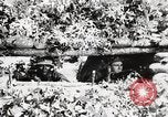 Standbild Rifle Squad Mitglieder United States USA, 1965, aus Sekunde 50 historischem Filmmaterial Videoclip 65675022240