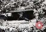 Standbild Rifle Squad Mitglieder United States USA, 1965, aus Sekunde 51 historischem Filmmaterial Videoclip 65675022240