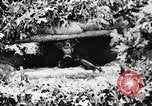 Standbild Rifle Squad Mitglieder United States USA, 1965, aus Sekunde 53 historischem Filmmaterial Videoclip 65675022240