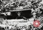 Standbild Rifle Squad Mitglieder United States USA, 1965, aus Sekunde 54 historischem Filmmaterial Videoclip 65675022240
