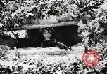 Standbild Rifle Squad Mitglieder United States USA, 1965, aus Sekunde 55 historischem Filmmaterial Videoclip 65675022240