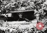 Standbild Rifle Squad Mitglieder United States USA, 1965, aus Sekunde 56 historischem Filmmaterial Videoclip 65675022240
