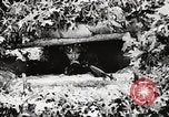 Standbild Rifle Squad Mitglieder United States USA, 1965, aus Sekunde 57 historischem Filmmaterial Videoclip 65675022240