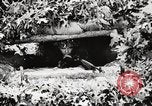 Standbild Rifle Squad Mitglieder United States USA, 1965, aus Sekunde 58 historischem Filmmaterial Videoclip 65675022240