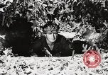 Standbild Rifle Squad Mitglieder United States USA, 1965, aus Sekunde 60 historischem Filmmaterial Videoclip 65675022240