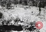 Standbild Rifle Squad Mitglieder United States USA, 1965, aus Sekunde 62 historischem Filmmaterial Videoclip 65675022240