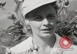 Image Don Budge et Alice Marble Forest Hills New York USA, 1938, de la seconde 46 séquences d'archives historiques vidéo 65675022259