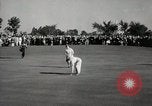 Standbild Patricia Sabine Berg und Julius Seite Wilmette Illinois USA, 1938, aus Sekunde 41 historischem Filmmaterial Videoclip 65675022260