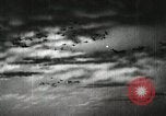 Image of Japanese aircraft and midget submarines advance Pacific Theater, 1941, second 51 stock footage video 65675022279