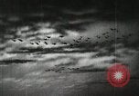 Image of Japanese aircraft and midget submarines advance Pacific Theater, 1941, second 55 stock footage video 65675022279