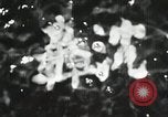 Standbild Japanische u-boot Resupply in Zweiten Weltkrieg Indischer Ozean, 1942, aus Sekunde 22 historischem Filmmaterial Videoclip 65675022286