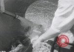 Standbild japanische Schlachtschiff und andere Kriegsschiffe angelaufen Japan, 1941, aus Sekunde 41 historischem Filmmaterial Videoclip 65675022302