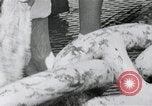 Standbild japanische Schlachtschiff und andere Kriegsschiffe angelaufen Japan, 1941, aus Sekunde 60 historischem Filmmaterial Videoclip 65675022302