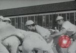 Image of Japanese sailors completing training in World War 2 Japan, 1942, second 23 stock footage video 65675022309