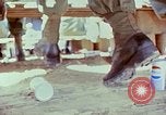 Immagine di Samuel Davis Jr Il Vietnam, 1972, secondo 40 filmato di repertorio 65675022324
