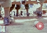 Immagine di Samuel Davis Jr Il Vietnam, 1972, secondo 43 filmato di repertorio 65675022324