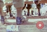 Immagine di Samuel Davis Jr Il Vietnam, 1972, secondo 45 filmato di repertorio 65675022324