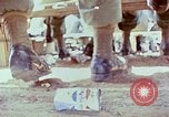 Immagine di Samuel Davis Jr Il Vietnam, 1972, secondo 48 filmato di repertorio 65675022324