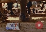 Immagine di Samuel Davis Jr Il Vietnam, 1972, secondo 53 filmato di repertorio 65675022324