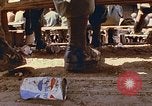 Immagine di Samuel Davis Jr Il Vietnam, 1972, secondo 56 filmato di repertorio 65675022324