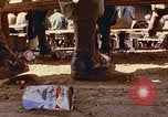 Immagine di Samuel Davis Jr Il Vietnam, 1972, secondo 57 filmato di repertorio 65675022324