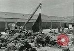 Standbild militärischen Bergung Europa, 1944, aus Sekunde 39 historischem Filmmaterial Videoclip 65675022353