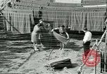 Standbild GI's Kleidung geborgen Reims Frankreich, 1947, aus Sekunde 59 historischem Filmmaterial Videoclip 65675022354
