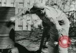 Image of Reclaiming salvaged materials United States USA, 1945, second 55 stock footage video 65675022357
