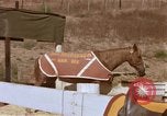 Standbild Marine Corps Pferd Sergeant rücksichtslos Camp Pendleton California USA, 1967, aus Sekunde 29 historischem Filmmaterial Videoclip 65675022394