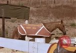 Standbild Marine Corps Pferd Sergeant rücksichtslos Camp Pendleton California USA, 1967, aus Sekunde 30 historischem Filmmaterial Videoclip 65675022394
