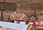 Standbild Marine Corps Pferd Sergeant rücksichtslos Camp Pendleton California USA, 1967, aus Sekunde 31 historischem Filmmaterial Videoclip 65675022394