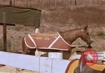 Standbild Marine Corps Pferd Sergeant rücksichtslos Camp Pendleton California USA, 1967, aus Sekunde 36 historischem Filmmaterial Videoclip 65675022394