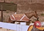 Standbild Marine Corps Pferd Sergeant rücksichtslos Camp Pendleton California USA, 1967, aus Sekunde 39 historischem Filmmaterial Videoclip 65675022394