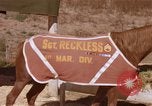 Standbild Marine Corps Pferd Sergeant rücksichtslos Camp Pendleton California USA, 1967, aus Sekunde 40 historischem Filmmaterial Videoclip 65675022394