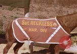 Standbild Marine Corps Pferd Sergeant rücksichtslos Camp Pendleton California USA, 1967, aus Sekunde 41 historischem Filmmaterial Videoclip 65675022394
