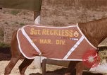 Standbild Marine Corps Pferd Sergeant rücksichtslos Camp Pendleton California USA, 1967, aus Sekunde 42 historischem Filmmaterial Videoclip 65675022394