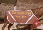 Standbild Marine Corps Pferd Sergeant rücksichtslos Camp Pendleton California USA, 1967, aus Sekunde 43 historischem Filmmaterial Videoclip 65675022394