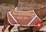 Standbild Marine Corps Pferd Sergeant rücksichtslos Camp Pendleton California USA, 1967, aus Sekunde 45 historischem Filmmaterial Videoclip 65675022394