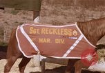 Standbild Marine Corps Pferd Sergeant rücksichtslos Camp Pendleton California USA, 1967, aus Sekunde 47 historischem Filmmaterial Videoclip 65675022394