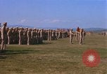 Image of Members of the 5th Division of USMC Camp Pendleton California USA, 1967, second 21 stock footage video 65675022396