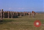 Image of Members of the 5th Division of USMC Camp Pendleton California USA, 1967, second 22 stock footage video 65675022396