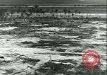 Image 828e bataillon de l'Aviation américaine ingénieur américain africain Munda New Georgia Îles Salomon, 1943, de la seconde 22 séquences d'archives historiques vidéo 65675022411