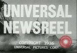 Immagine di Horse named Pompoon New York United States USA, 1936, secondo 12 filmato di repertorio 65675022412