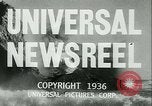 Immagine di Horse named Pompoon New York United States USA, 1936, secondo 13 filmato di repertorio 65675022412
